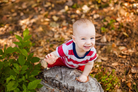 One-year-old baby playing with natural materials leaves and twigs in a warm autumn forest.