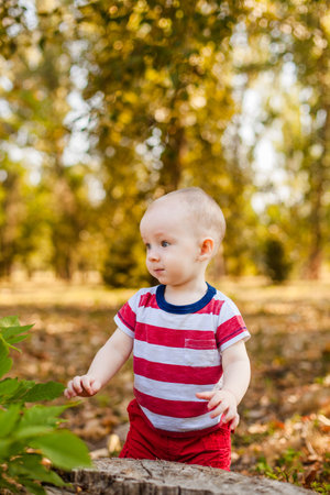 Ten-month-old baby sitting on a tree in the autumn forest.の写真素材