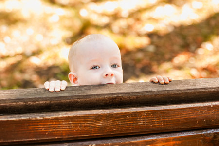 Almost bald baby boy peeking out from behind a wooden bench in the autumn park.の写真素材
