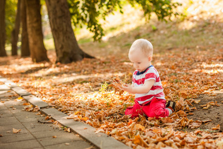 One-year-old baby playing with natural materials leaves and twigs in a warm autumn forest.の写真素材