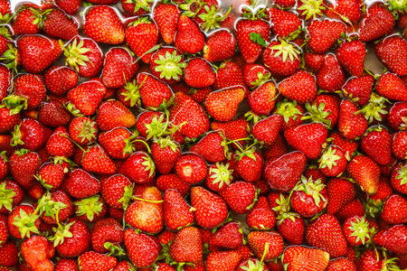 Ripe red juicy strawberries in water.の写真素材