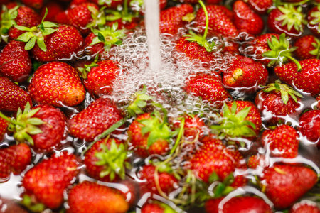 Ripe juicy strawberries from the garden being washed under running water.の写真素材