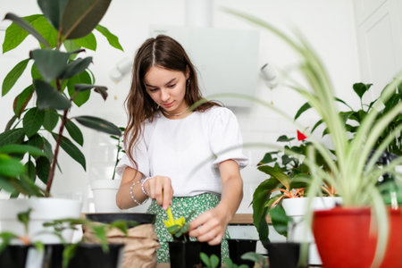 Gardener teen girl pulls out a houseplant from an old pot for transplanting.の写真素材