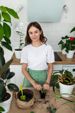 Gardener teen girl pulls out a houseplant from an old pot for transplanting.の写真素材