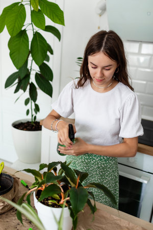 Young slim woman at home watering plants on the table. Concept houseplants at homeの写真素材