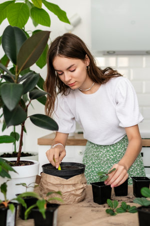 Young woman at home watering plants on the table. Concept houseplants at homeの写真素材