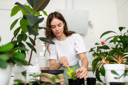 Young slim woman at home watering plants on the table. Concept houseplants at homeの写真素材