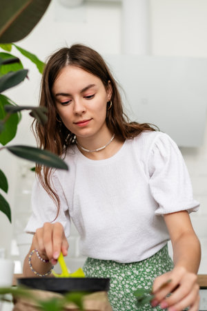 Young slim woman at home watering plants on the table. Concept houseplants at homeの写真素材