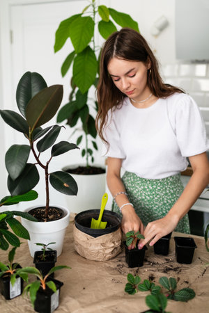 Gardener teen girl pulls out a houseplant from an old pot for transplanting.の写真素材