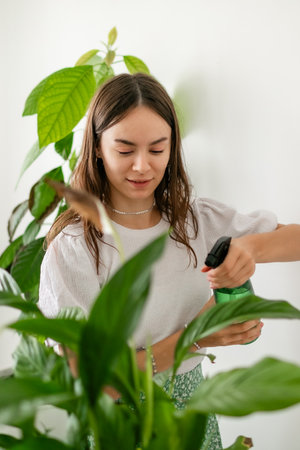 Joyful florist hydrating lush houseplants with a spray bottleの写真素材