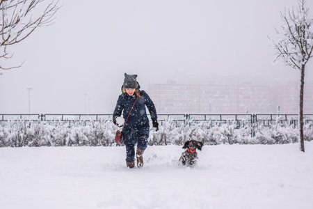 A teenage girl walking her dog outside in winter. Russian spaniel runs with flapping ears in the snow and plays.の写真素材