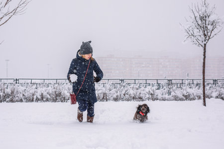 A teenage girl walking her dog outside in winter. Russian spaniel runs with flapping ears in the snow and plays.の写真素材