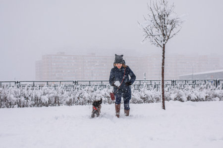 A teenage girl walking her dog outside in winter. Russian spaniel runs with flapping ears in the snow and plays.の写真素材