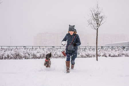 A teenage girl walking her dog outside in winter. The spaniel runs with flapping ears in the snow and plays.の写真素材