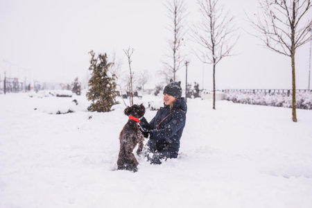 A teenage girl walking her dog outside in winter, throwing snowballs at her. Russian spaniel runs with flapping ears in the snow and plays.の写真素材
