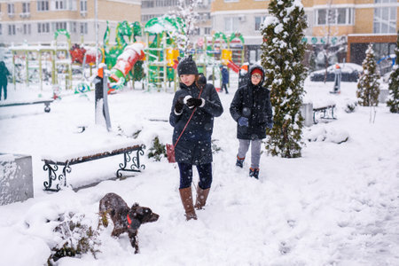 12-year-old girl walking under snowfall with her younger brother and a spaniel dog.の写真素材