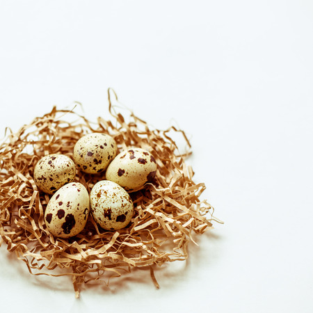 Five quail eggs in the nest on white background. Soft focus.の写真素材