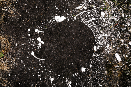 White dye stains dripped on the floor while painting with circle trace of the bucket.の写真素材