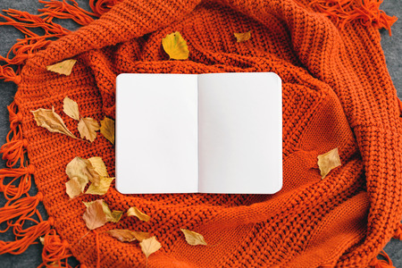 Top view of a notebook with autumn leaves on reddish knittted background. Mock up, place for your text.の写真素材