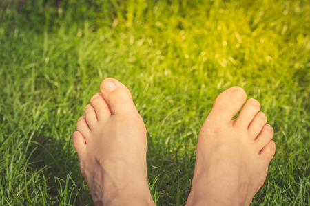 Close up  of woman feet  on the green grass  in sunny day.の写真素材
