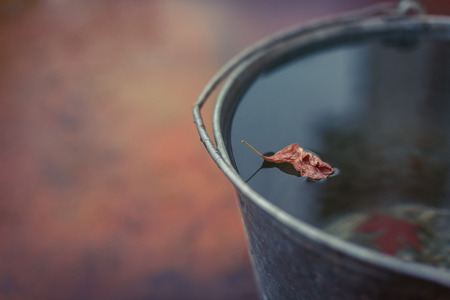 Dried yellow autumn leaf floats in a bucket full of water.  Autumn peace and tranquility. Concept "Autumn has come".の写真素材