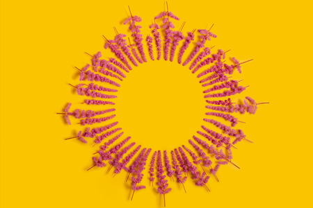 Flowers composition. Round frame made of pink field flowers on yellow background. Flat lay, top view, copy space.の写真素材