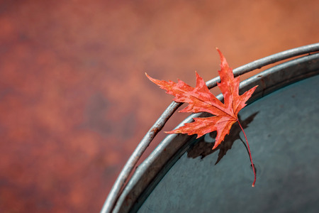 Beautiful wet red maple leaf on the edge of the tin bucket with water. Place for text, top view. The concept of "the Autumn has come"の写真素材