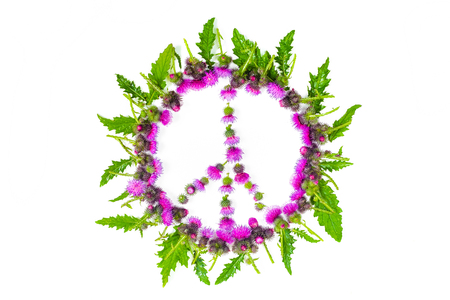 Peace sign (Pacific)-a symbol of peace, disarmament and anti-war movement, lined with leaves and delicate pink flowers blossomed Thistle.の写真素材