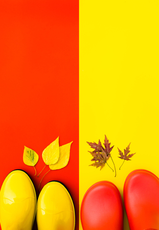 Two pairs of bright rubber boots-red and yellow are on a contrasting background and in front of them are autumn leaves. Top view, place for text. Concept  "Bright autumn".の写真素材
