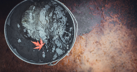 A beatiful red maple leaf floats in a tin bucket on the water surface, on which rain drops fall.  Top view, copy space. Concept "Autumn has come".の写真素材