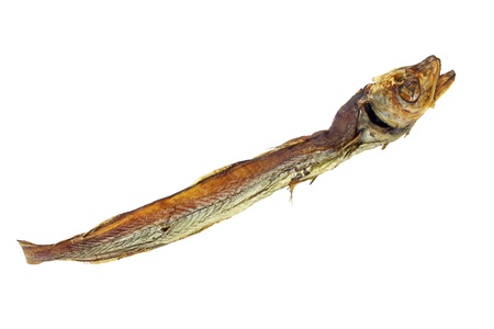 dried blue whiting isolated on a whiteの写真素材