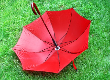 bright red umbrella  lying on a green grassの写真素材