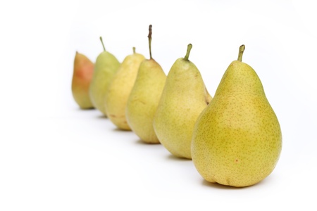 many yellow pears in row on a white backgroundの写真素材