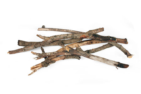 The logs of fire wood from different branches isolated on white