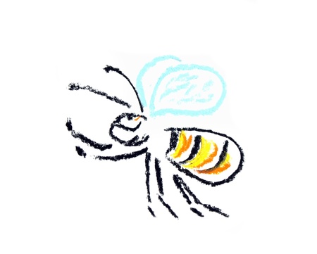 flying bee hand drown illustration on whiteの写真素材