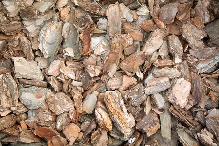 pine big bark chips texture mulch in the garden