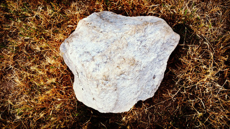 stone lays on dry grass dead loan, copyspace concept, toned with warm filter