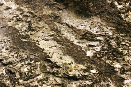 rock textured stone with lichen or moss on it outdoor shotの写真素材