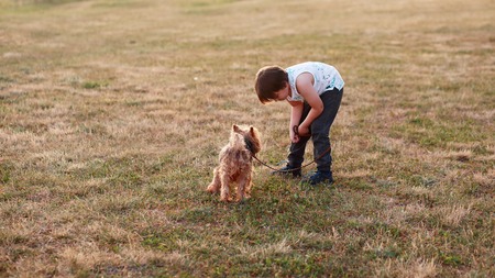 6 year boy with his pet yorkshire dog have a walkの写真素材