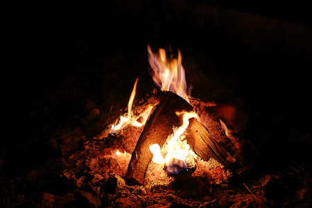 Camp fire burning in the night vertical close up