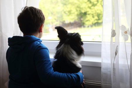 9-10 years boy looking at the window hugging his dog during covid lockdown 2020の写真素材
