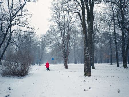 Trnava, Slovakia - February 17, 2021 Park Janka Krala. Snow fall daytimeの写真素材