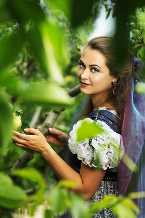 apple tree harvest beautiful woman in princess dressの写真素材