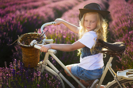 6 years old girl on bicycle lavender field evening sunの写真素材