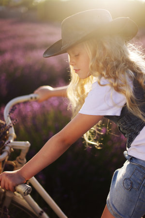6 years old girl on bicycle lavender field evening sunの写真素材