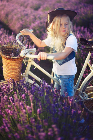 6 years old girl on bicycle lavender field evening sunの写真素材