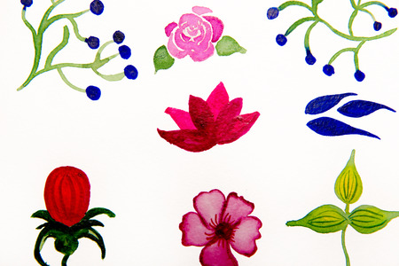 various flowers drawn on paper. It is possible to use for textures, on various cards or as a decor elementの写真素材