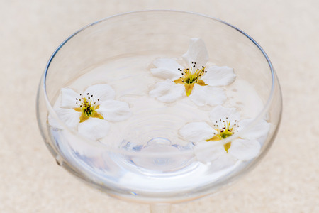 white flowers floating in a glass of water. macroの写真素材