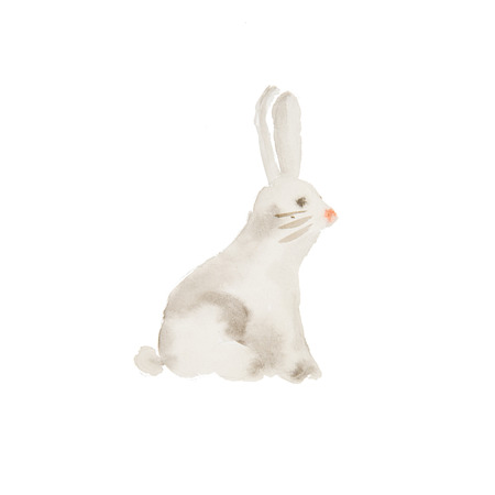 watercolor gray rabbitの写真素材