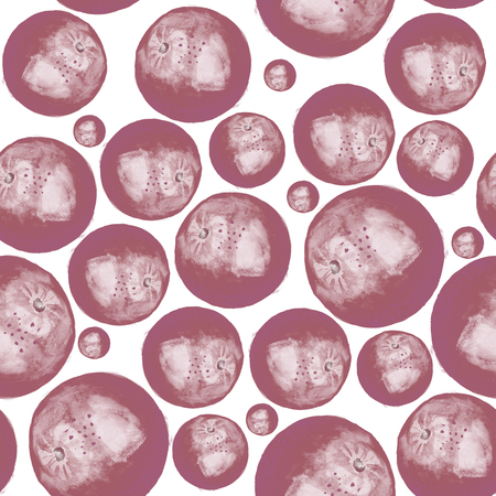 Fruit oranges drawn watercolor backgroundの写真素材